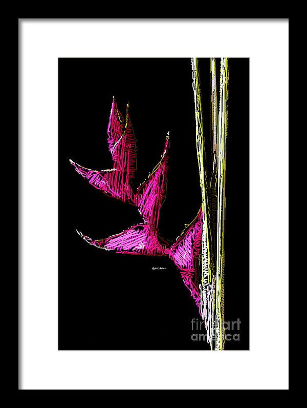 Framed Print - Birds Of Paradise