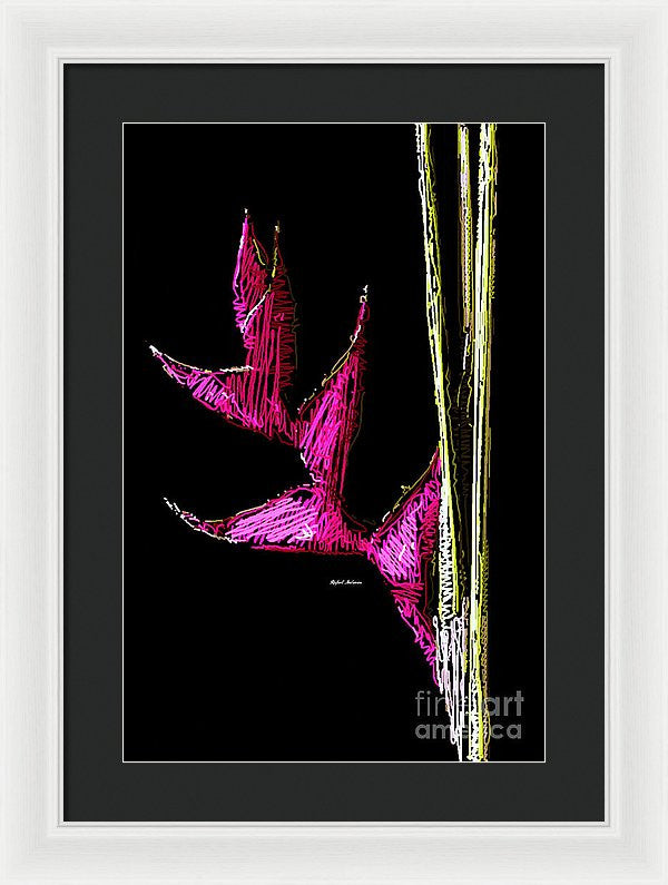 Framed Print - Birds Of Paradise