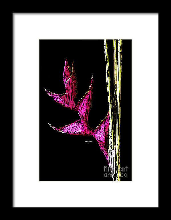 Framed Print - Birds Of Paradise