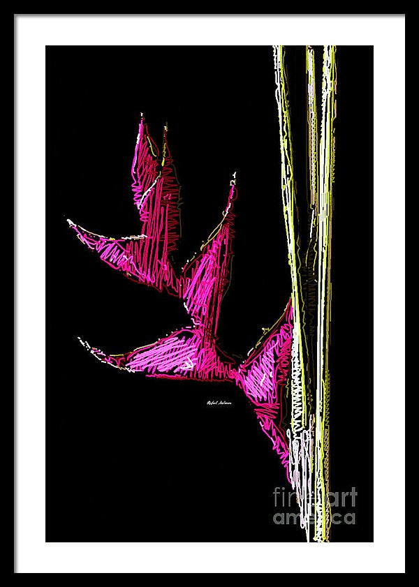 Framed Print - Birds Of Paradise