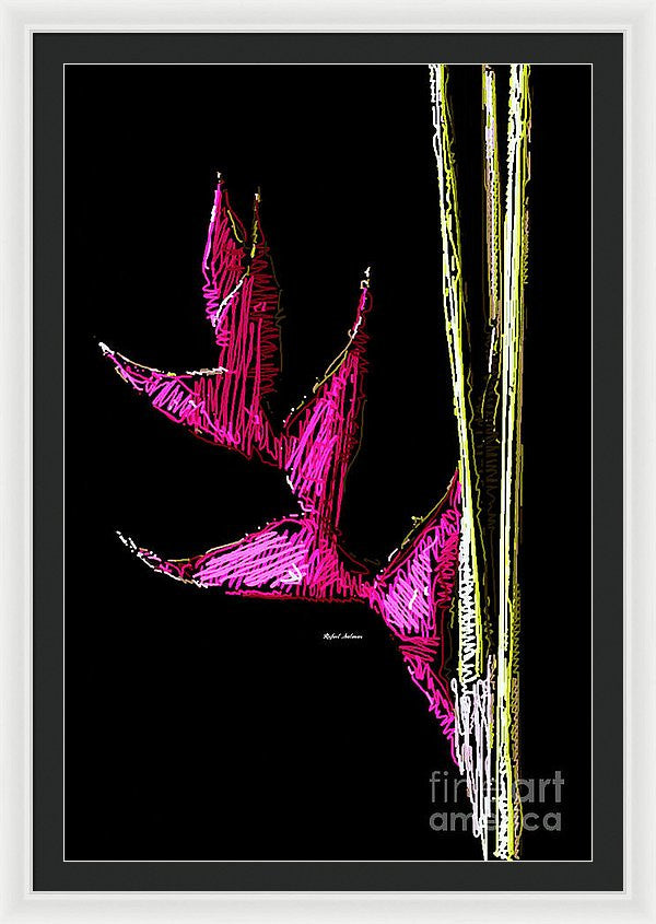 Framed Print - Birds Of Paradise