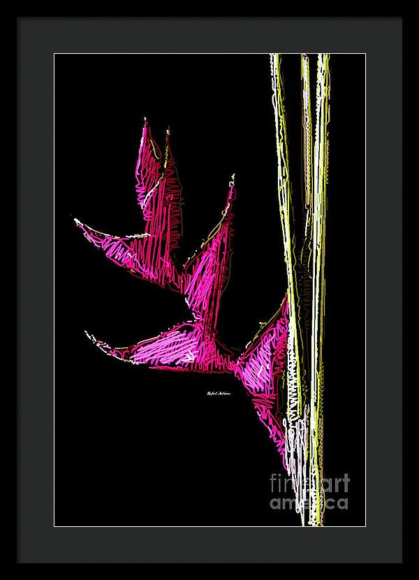 Framed Print - Birds Of Paradise