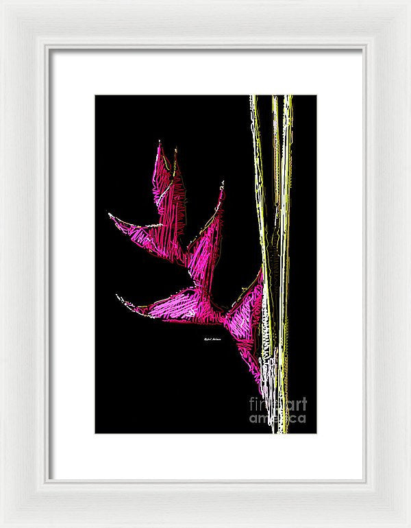 Framed Print - Birds Of Paradise