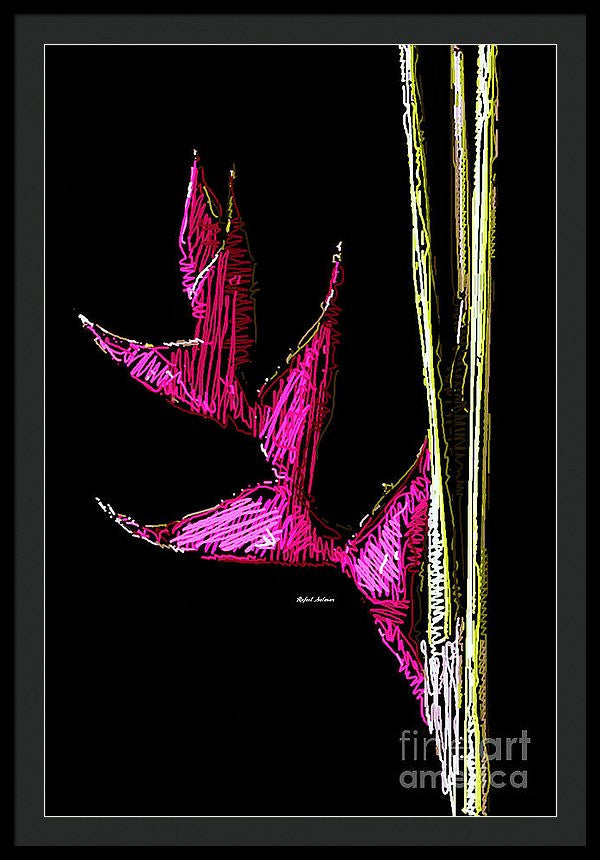 Framed Print - Birds Of Paradise