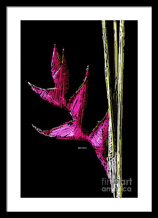 Framed Print - Birds Of Paradise