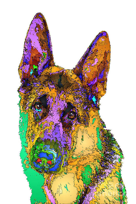 Art Print - Bogart The Shepherd. Pet Series