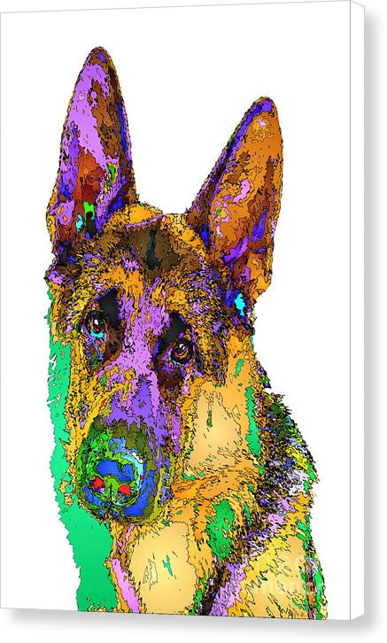 Canvas Print - Bogart The Shepherd. Pet Series