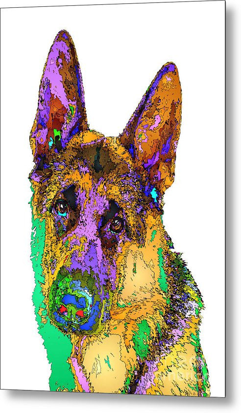 Metal Print - Bogart The Shepherd. Pet Series