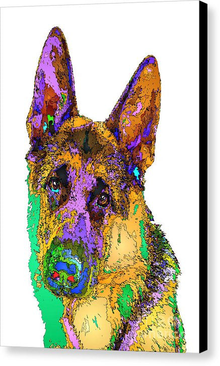 Canvas Print - Bogart The Shepherd. Pet Series