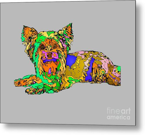 Metal Print - Buddy. Pet Series