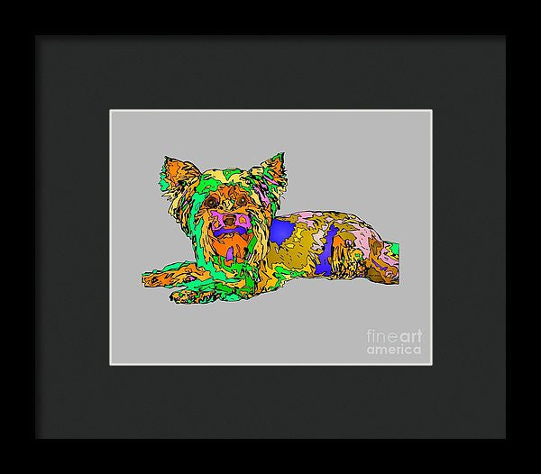 Framed Print - Buddy. Pet Series