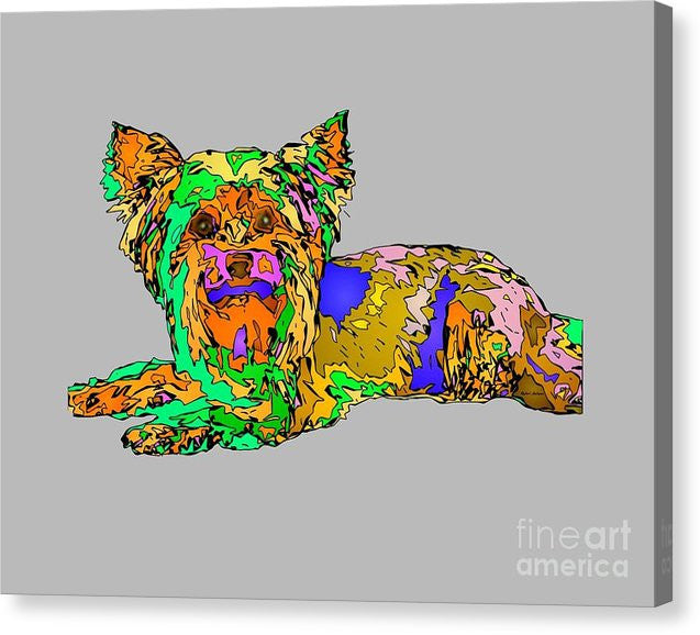 Canvas Print - Buddy. Pet Series