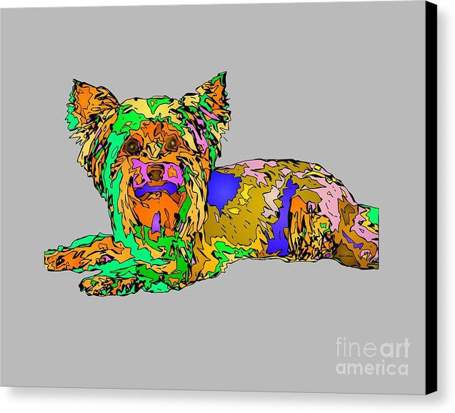 Canvas Print - Buddy. Pet Series