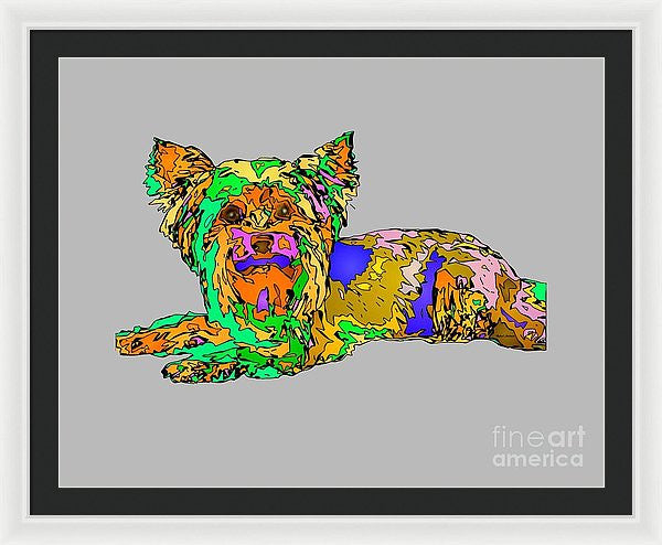 Framed Print - Buddy. Pet Series