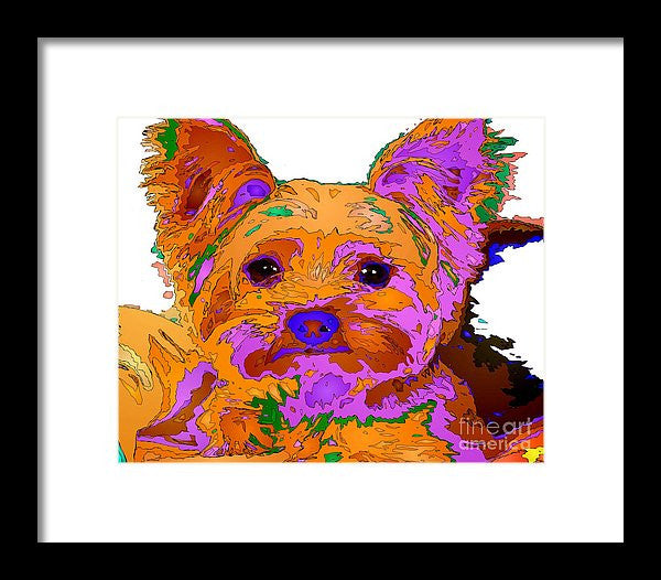 Framed Print - Buddy The Baby. Pet Series