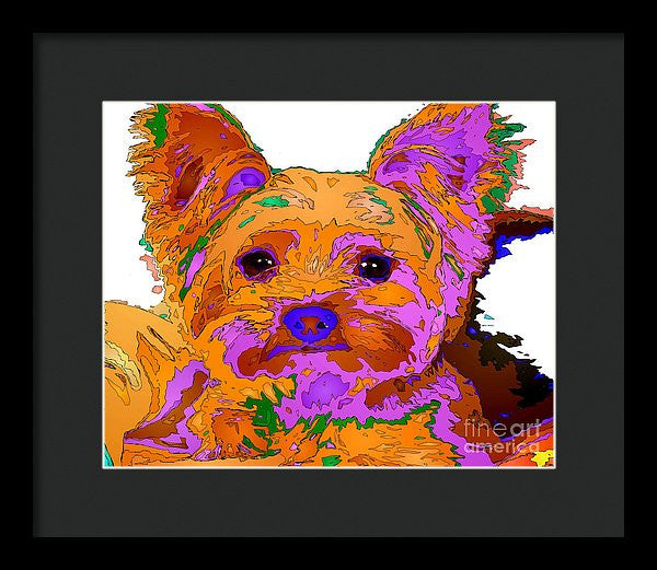 Framed Print - Buddy The Baby. Pet Series