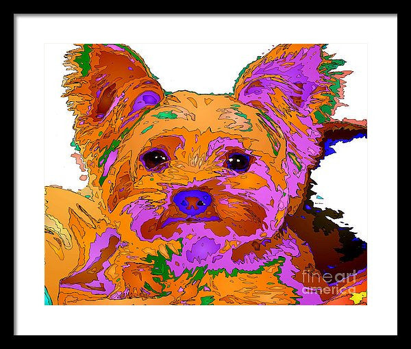 Framed Print - Buddy The Baby. Pet Series