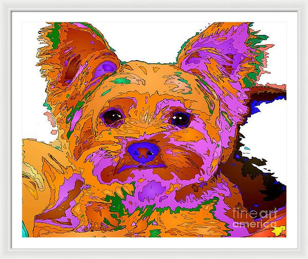 Framed Print - Buddy The Baby. Pet Series