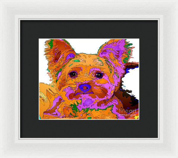 Framed Print - Buddy The Baby. Pet Series