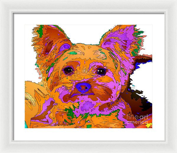 Framed Print - Buddy The Baby. Pet Series