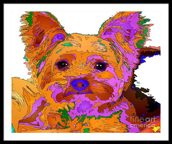 Framed Print - Buddy The Baby. Pet Series