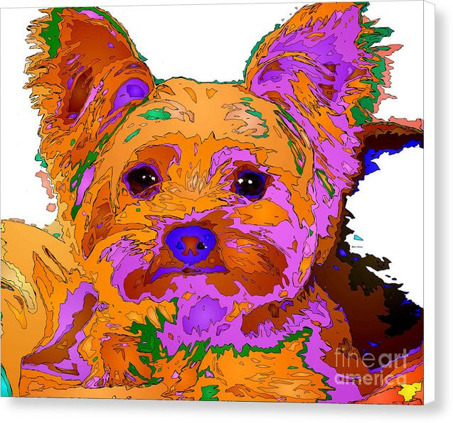 Canvas Print - Buddy The Baby. Pet Series