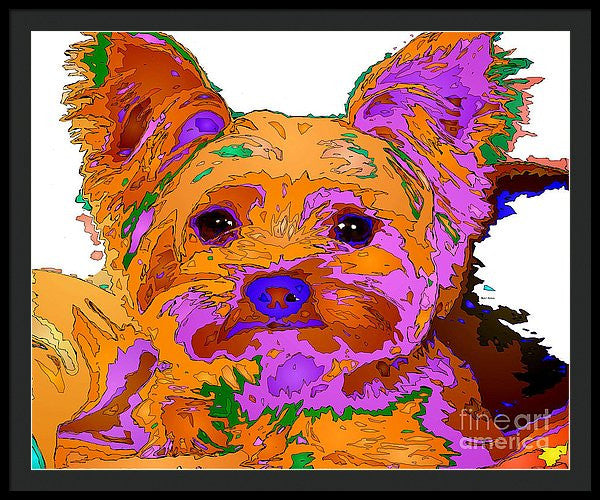 Framed Print - Buddy The Baby. Pet Series