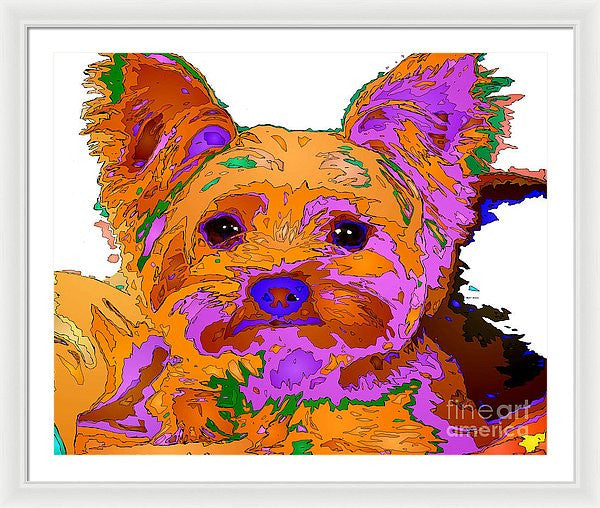 Framed Print - Buddy The Baby. Pet Series