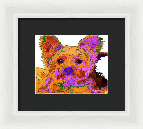 Framed Print - Buddy The Baby. Pet Series