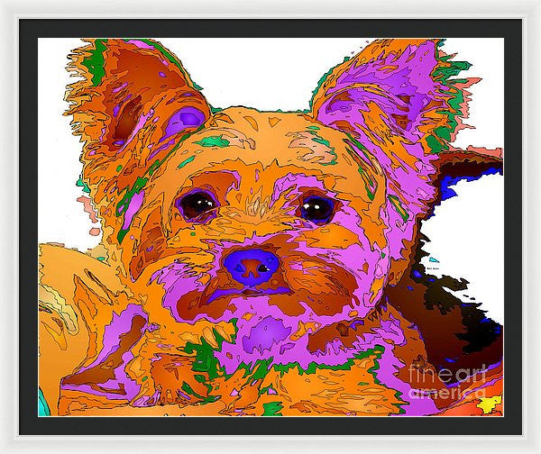 Framed Print - Buddy The Baby. Pet Series