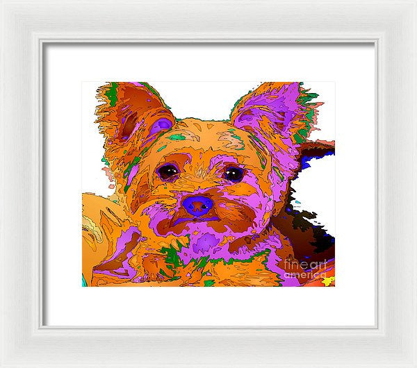 Framed Print - Buddy The Baby. Pet Series