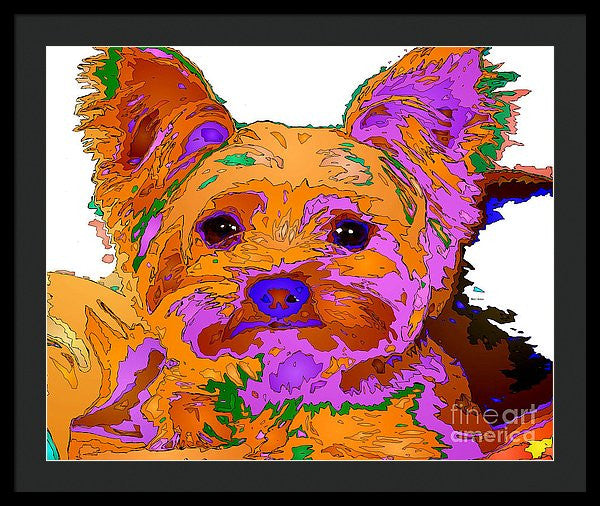 Framed Print - Buddy The Baby. Pet Series
