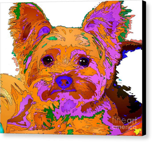 Canvas Print - Buddy The Baby. Pet Series