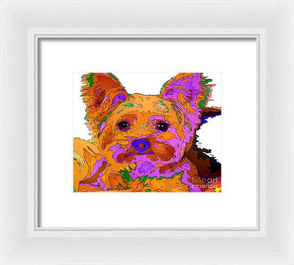 Framed Print - Buddy The Baby. Pet Series