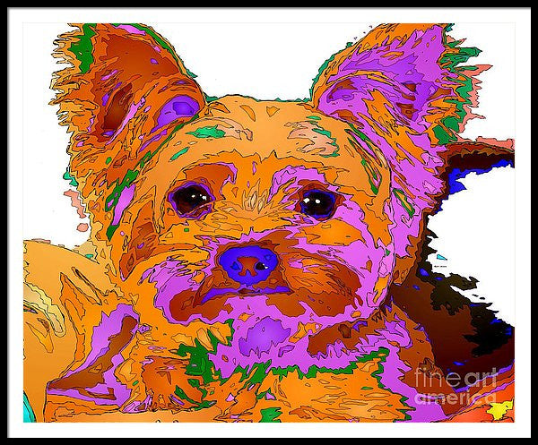 Framed Print - Buddy The Baby. Pet Series