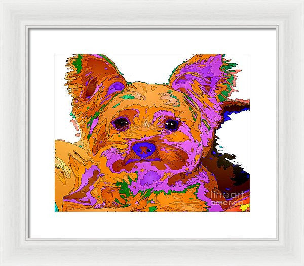 Framed Print - Buddy The Baby. Pet Series