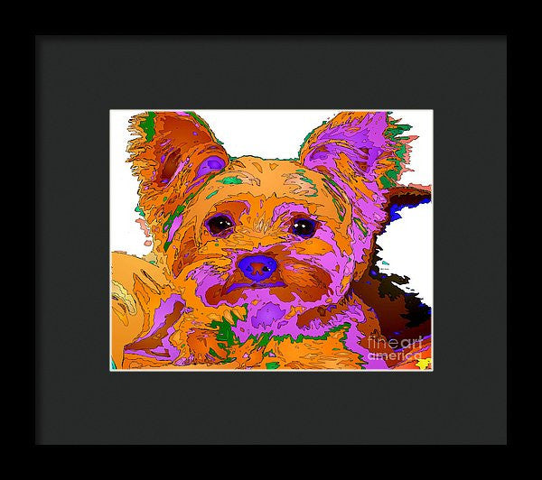 Framed Print - Buddy The Baby. Pet Series