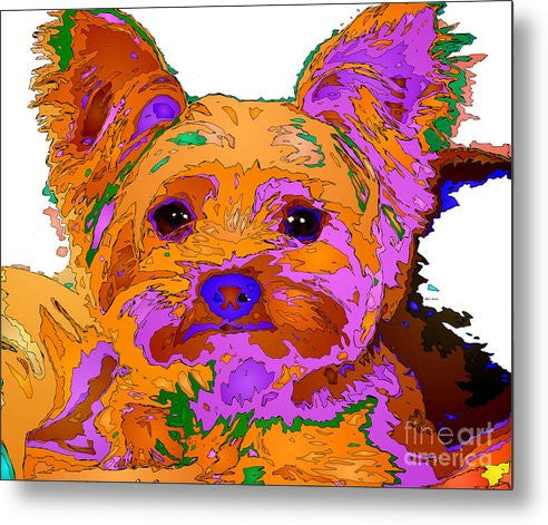 Metal Print - Buddy The Baby. Pet Series