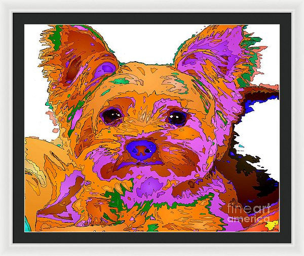 Framed Print - Buddy The Baby. Pet Series