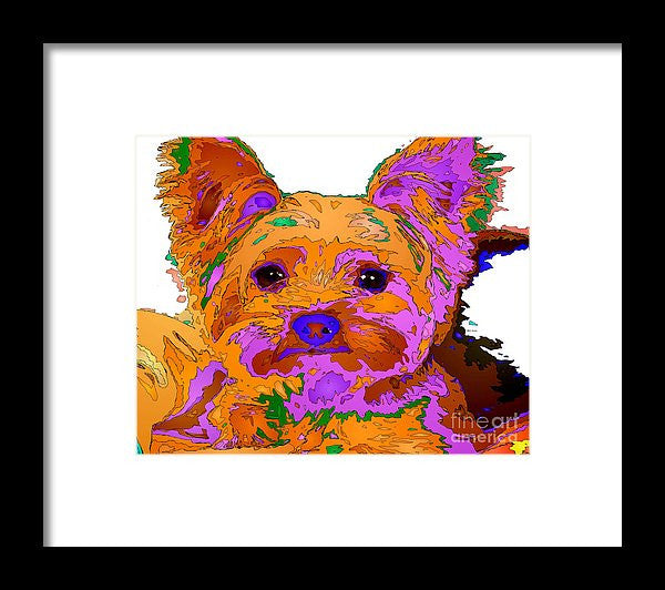 Framed Print - Buddy The Baby. Pet Series