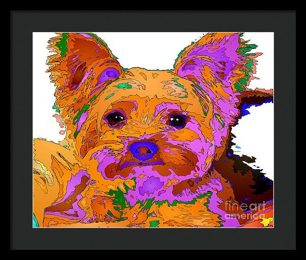 Framed Print - Buddy The Baby. Pet Series