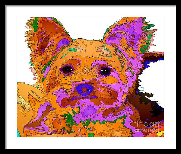 Framed Print - Buddy The Baby. Pet Series