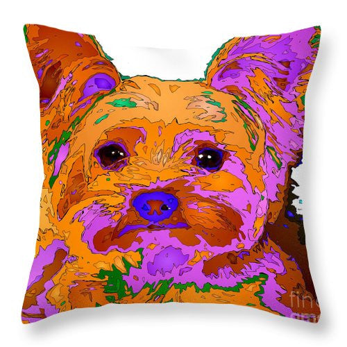 Throw Pillow - Buddy The Baby. Pet Series