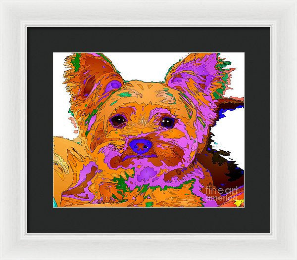 Framed Print - Buddy The Baby. Pet Series