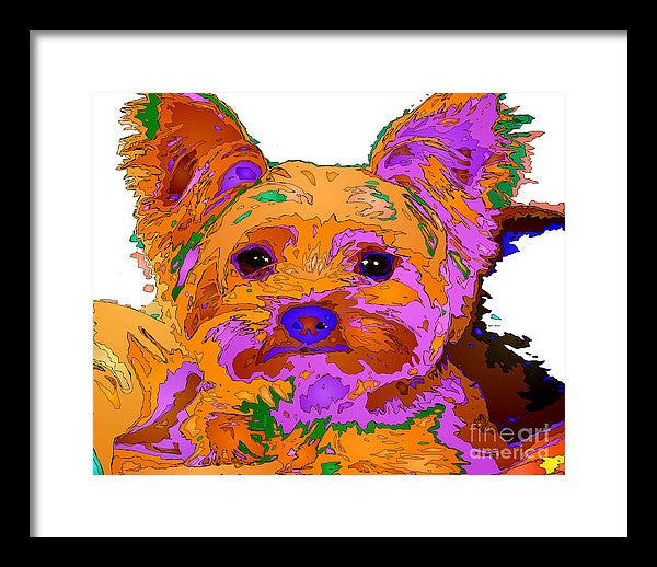 Framed Print - Buddy The Baby. Pet Series