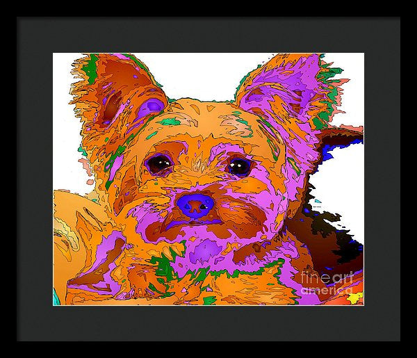 Framed Print - Buddy The Baby. Pet Series