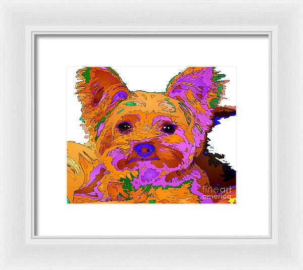 Framed Print - Buddy The Baby. Pet Series