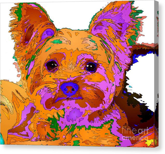 Canvas Print - Buddy The Baby. Pet Series