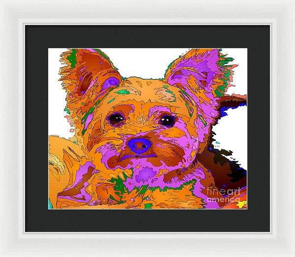 Framed Print - Buddy The Baby. Pet Series