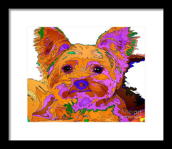 Framed Print - Buddy The Baby. Pet Series